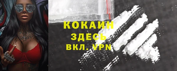 стаф Балахна
