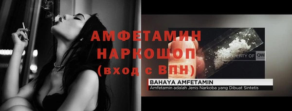 шишки Новозыбков