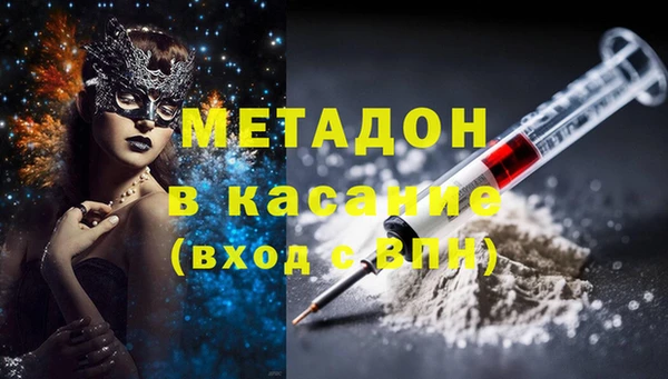 шишки Новозыбков