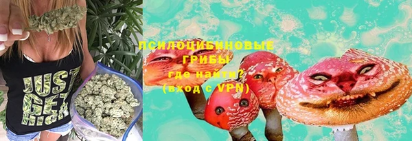 стаф Балахна